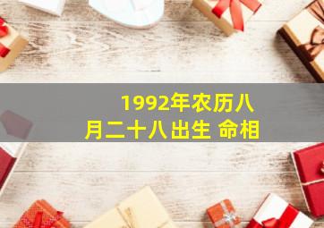 1992年农历八月二十八出生 命相